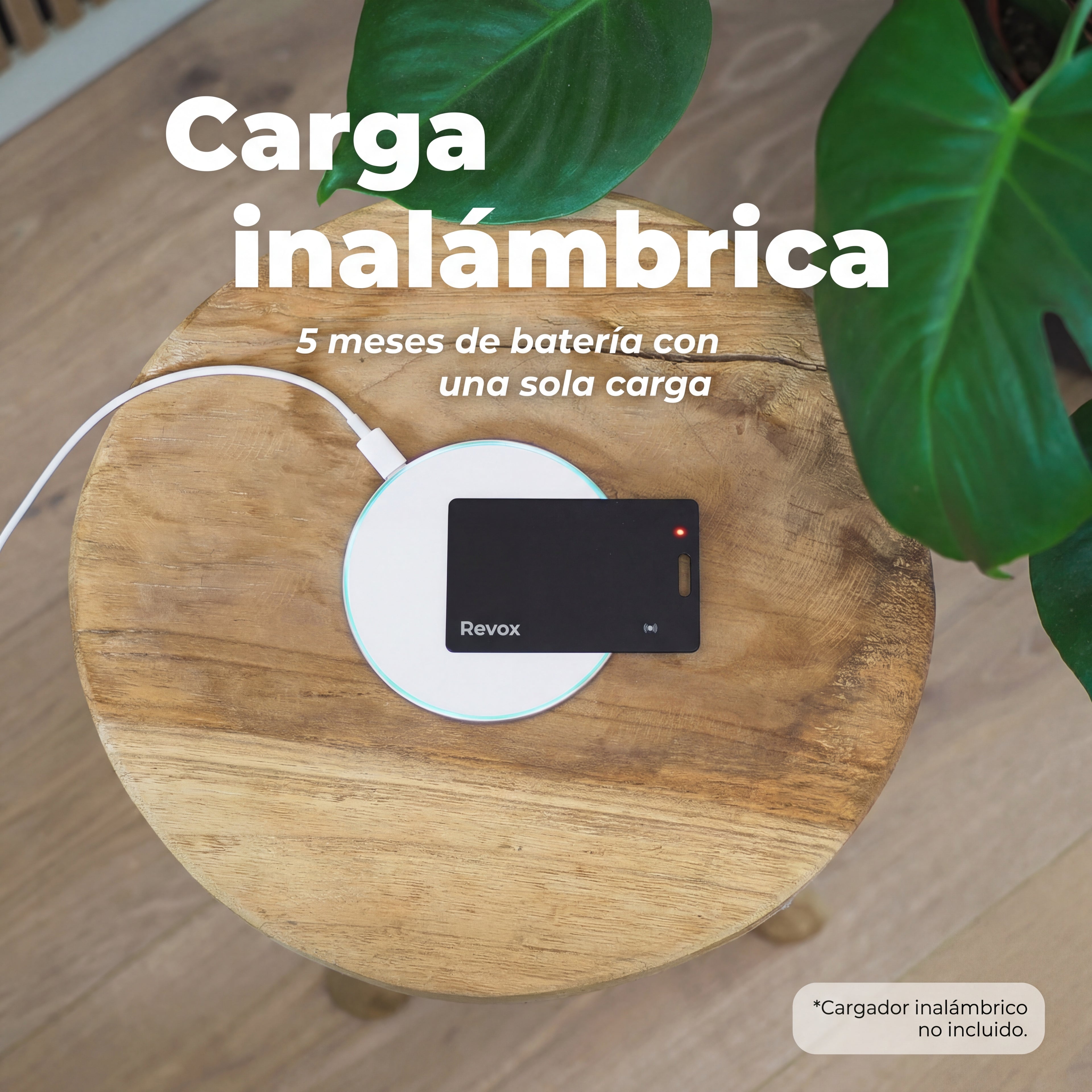 Tarjeta Localizadora Revox